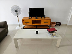 Blk 491A Tampines Avenue 9 (Tampines), HDB 5 Rooms #438858211